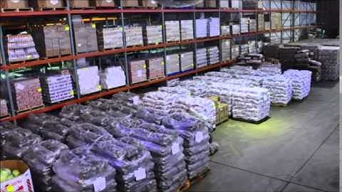 CIty Harvest Distribution ERP Case Study