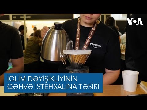 Video: Təsirsiz şokoladı səbr edə bilərsiniz?