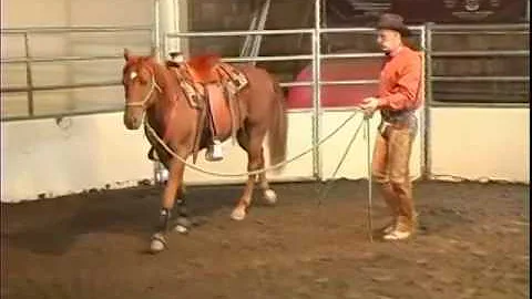 Dennis Reis Signature All Around Horse Program