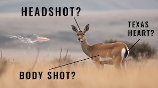 This Is The Most Controversial Shot In Hunting (But Why?)