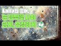 Lalla 눈 깜짝할 사이에 쉽게 유창하게 68.
