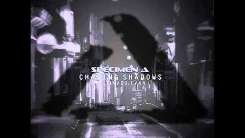 Specimen A feat. David Ivan - Chasing Shadows (Pyramid Remix)