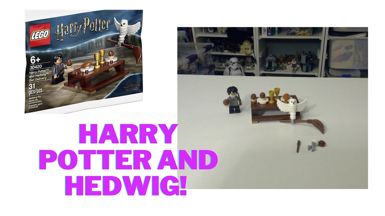 First time reviewing Harry Potter with Hedwig Owl Delivery September Promo Set 30420