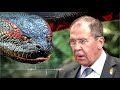Кремль застыл в ужасе: Анаконда уже сжимает свои кольца