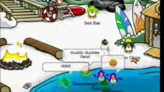 Club Penguin Premium  Sua antiga fonte de informações sobre o jogo Club  Penguin no Brasil: Notebook do Club Penguin no Click Jogos!