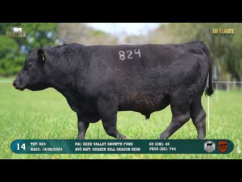 LOTE 014