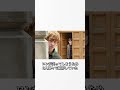 ハリーポッターの雑学 #harrypotter #shorts