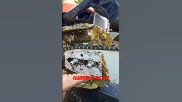 Chainsaw getting hot or Not Oiling correctly?  Here