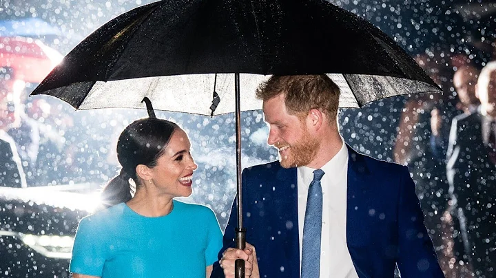 Prince Harry and Meghan Markles business model is ...