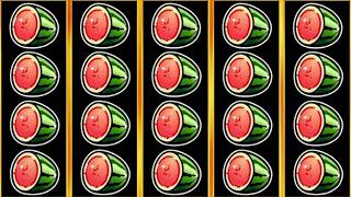 ROARING WILDS GAMINATOR CASINO SLOTS