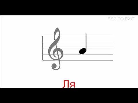 Нотный стан ми соль си ре фа. Нота до на нотном стане. Искала ноты. Нотная грамота для детей. Ноты картинки для детей.