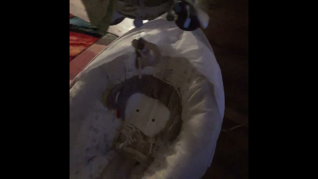 Fisher Price Electric Baby Swing w/Mobile & Music