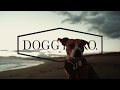 DOGGY BRO. CHIGASAKI OPENING MOVIE