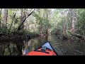 Wadboo Creek kayaking