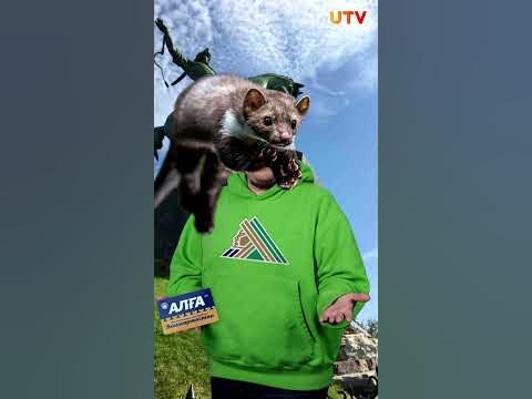 Стартер-пак жителя Башкирии. Что еще добавить? #башкирия #уфа - YouTube