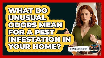 What Do Unusual Odors Mean For A Pest Infestation In Your Home? - Insects and Invaders