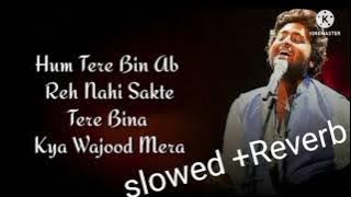 Hum Tere Bin ab Reh nahi Sakte. ( slowed   Reverb ) [ Arijir singh ] Aashiqui 2 💕💕
