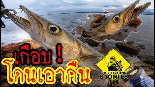 ตีเหยื่อปลอมชายฝั่ง โหด มันส์ เสียว [ LFST ตีเหยื่อปลอมชายฝั่ง 37 ]