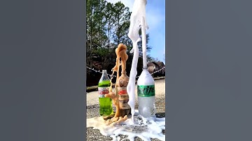 Popular Coke Sodas Vs Mentos 95 (Coke Sprite Fanta) #satisfying #experiment #asmr