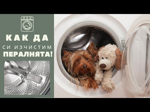 Видео: Можете ли да поставите микробуси в пералнята?