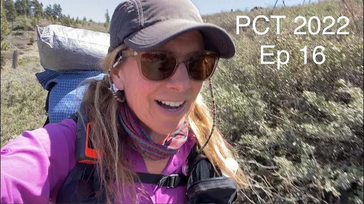 PCT 2022|Ep 16: Day 33 & 34 - My Hike Gets Weird & I Meet New Hiking Buddies