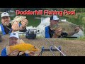 Dodderhill Fishing Pool - Mixed Species Fishing