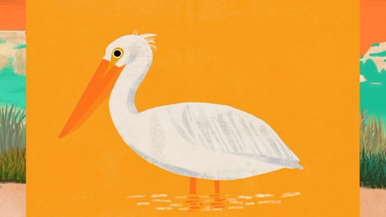 Animal Match Up - Game For Kids!