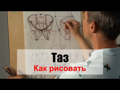 Как рисовать "Таз" /часть 1/ - А. Рыжкин