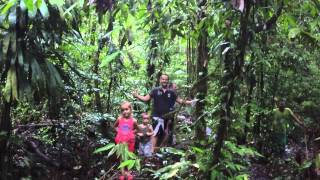 Les Duf Desch dans la jungle guyanaise