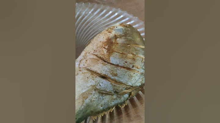 سمك  🐟 زبيدي