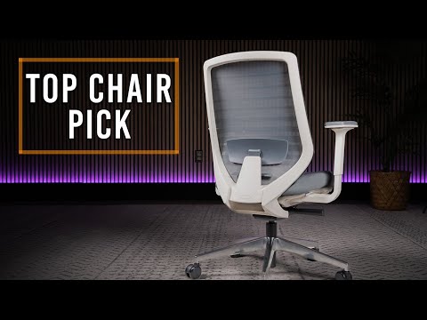 One of the BEST $300 CHAIRS I've Reviewed - Branch Ergonomic