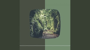 Pulsating Ambiance for Daily Unwinding