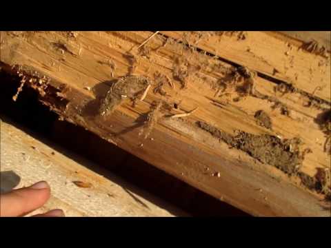 Как поменять бревна в деревянном доме видео