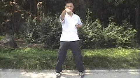 Chark Yiu demonstrated by Sifu Edmond Fong