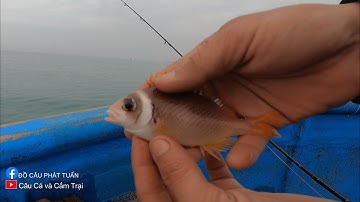 Biển Phan Thiết ✅ câu cá, vui chơi, nghỉ dưỡng cùng gia đình l Câu Cá và Cắm Trại ⛺️ Tập 2