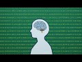 Visual Perception and Design Principles