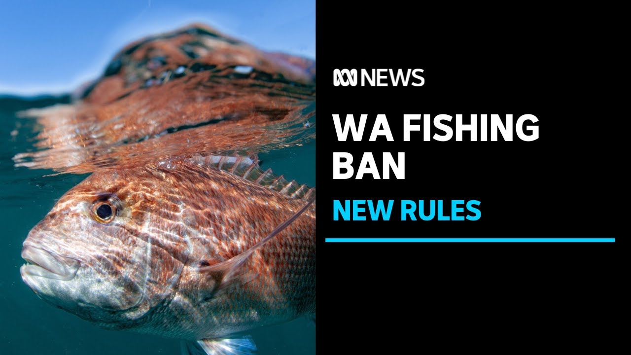 Tough New WA Fishing Rules To Limit Recreational Season And Cut 