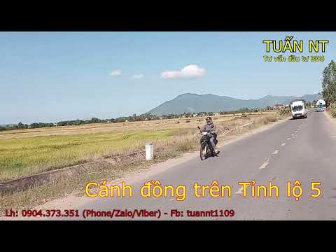 Video Cánh đồng lúa hai bên Tỉnh lộ 5 - Ninh Hòa - YouTube