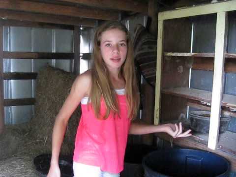 Video: How To Feed A Horse
