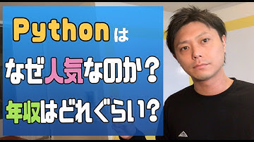 Pythonはなぜ人気なのか？平均年収はどれぐらい？