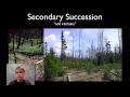 Ecological Succession and Its Impact on Ecosystems