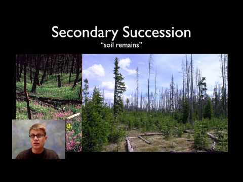 Ecological Succession