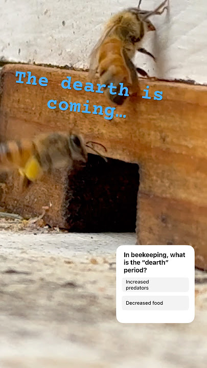 The dearth is coming…  #agriculture #honeybee #beekeeping 🐝