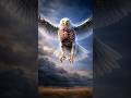 Eagle Vision is TERRIFYING 😨| 2 Mile Zoom Eyes #animalfacts #hindishorts #marinemystery #shorts