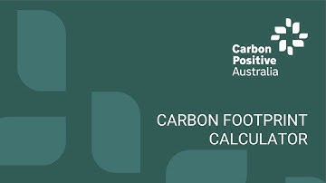 How to use our free and easy Carbon Footprint Calculator (hint: it’s not as hard as you think!)