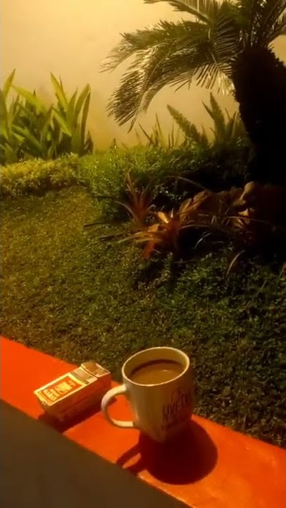 kopi susu rokok surya #shortsfeed #trending #shorts #viral #tiktok  #tiktokvideo #tiktokviral