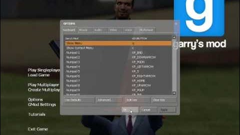 How to open the console in Garry