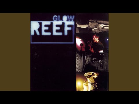 Reef — Come Back Brighter
