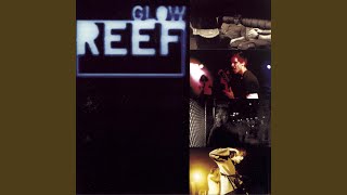 Come Back Brighter - Reef