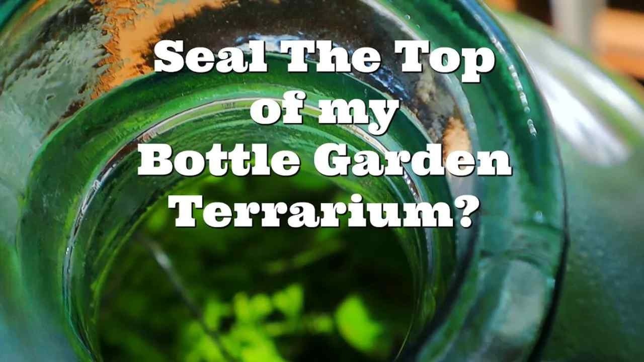 Go For The Sealed Bottle Terrarium? Is That My Only Option? I Love